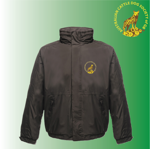 (image for) DC Child Waterproof Active Jacket (RG244)