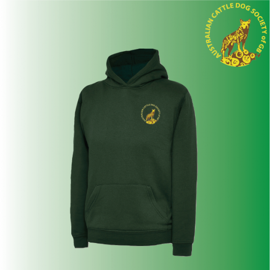 DC Child Classic Hoody (UC503) - Click Image to Close