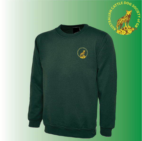 (image for) DC Child Classic Sweat Shirt (UC202)