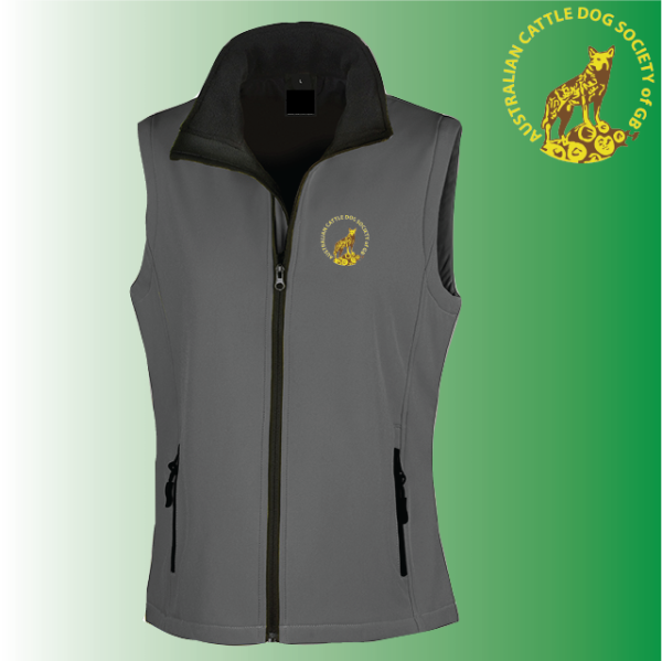 (image for) DC Ladies Softshell Gilet 2ply (R232F)