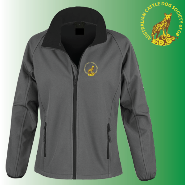 (image for) DC Ladies Softshell Jacket 2ply (R231F)