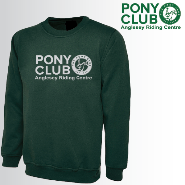 (image for) PC Adult Unisex Sweat Shirt (UC203)