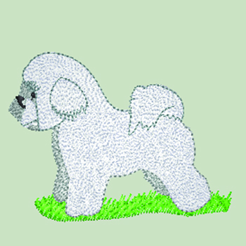 (image for) Bichon Frise (WD030)