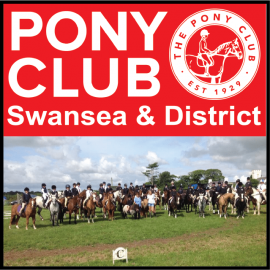 Swansea & District Pony Club