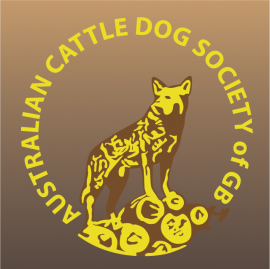 Australian Cattle Dog Society GB