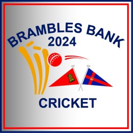 (image for) Brambles Bank Cricket Match