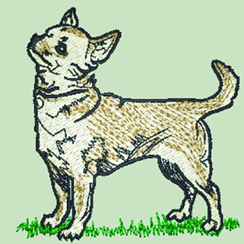 (image for) Chihuahua - Smooth Coat (WD055)