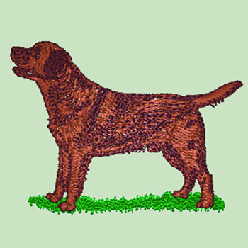 (image for) Brown/Chocolate Labrador (WD129C)