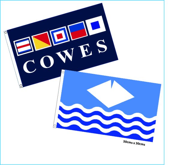 Courtesy Flags 50 x 30 cms - Click Image to Close