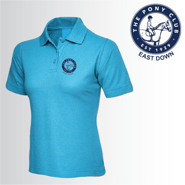 (image for) PC Ladies Polo Shirt (UC106)