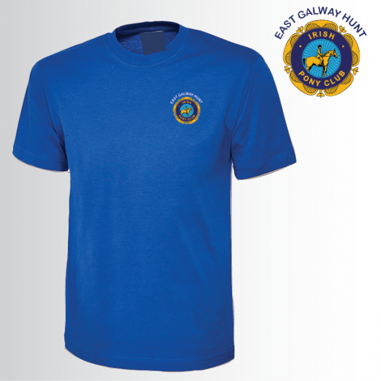 IPC Unisex Classic T-Shirt (UC301) - Click Image to Close