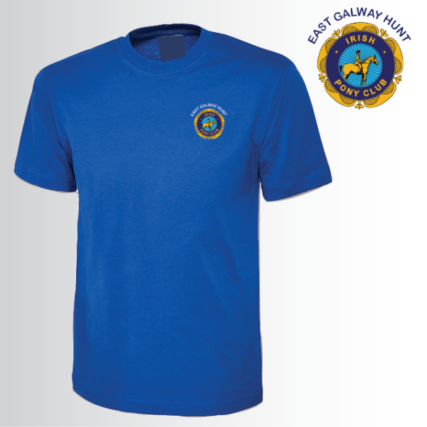 (image for) IPC Unisex Classic T-Shirt (UC301)