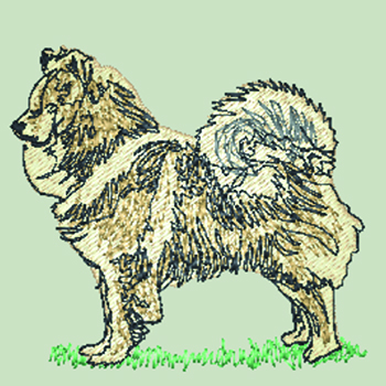 (image for) Eurasier (WD077)