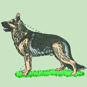 (image for) German Shepherd Dog (WD086)