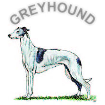 (image for) Greyhound