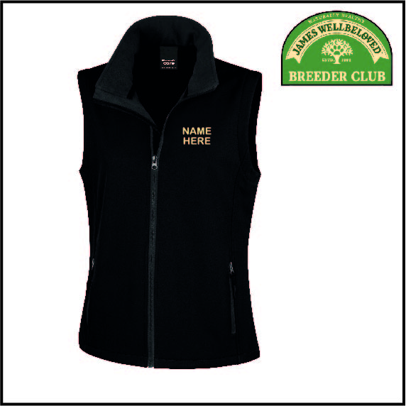 (image for) JWB Ladies Softshell Gilet 2ply (R232F)