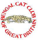 (image for) Bengal Cat Club