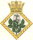 (image for) HMS Bramble