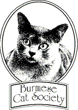 (image for) Burmese Cat Society