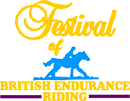 (image for) Festival of Endurance