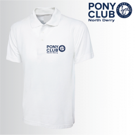 PC Mens Polo Shirt (UC101)