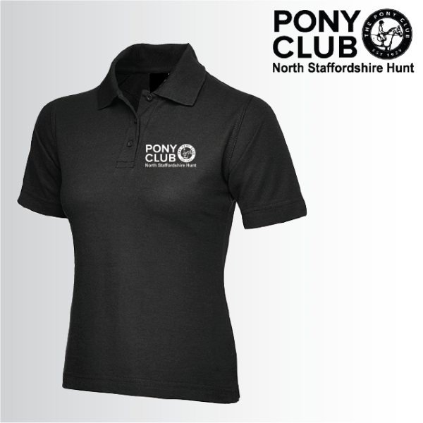 (image for) PC Ladies Polo Shirt (UC106)