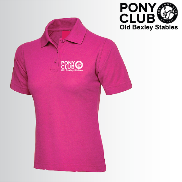 (image for) PC Ladies Polo Shirt (UC106)