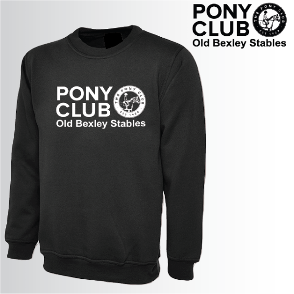 (image for) PC Adult Unisex Sweat Shirt (UC203)