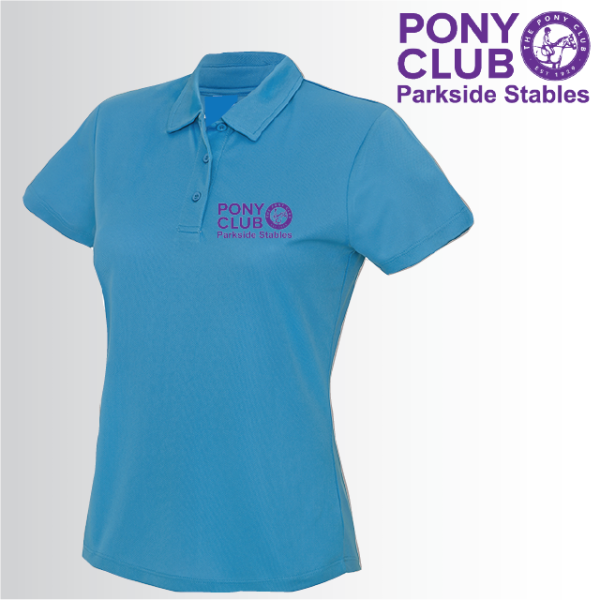 (image for) PC Ladies Polo Shirt (UC106)