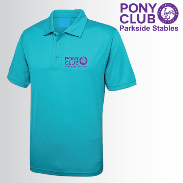 (image for) PC Mens Polo Shirt (UC101)