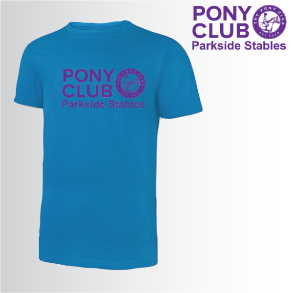 (image for) PC Unisex Classic T-Shirt (UC301)