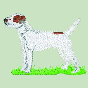 Parson Russell Terrier (WD152)