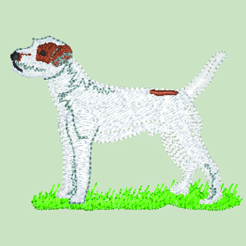 (image for) Parson Russell Terrier (WD152)