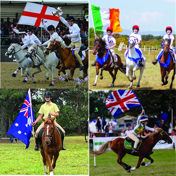 (image for) PC National Flags