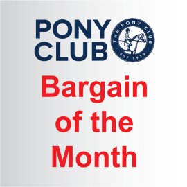 (image for) Pony Club Bargain of the Month