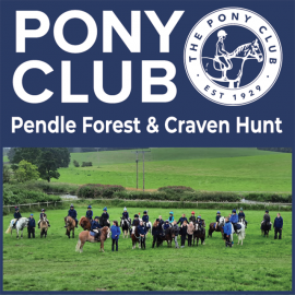 Pendle Forest & Craven Hunt Pony