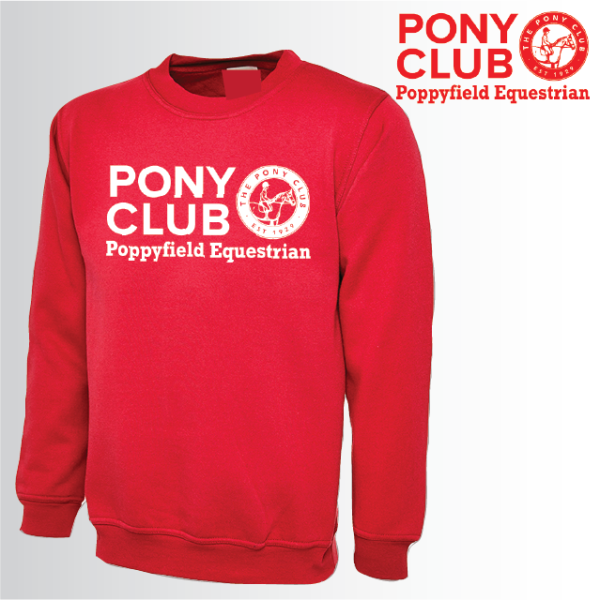 (image for) PC Adult Unisex Sweat Shirt (UC203)