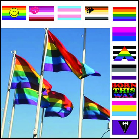 Pride Flags - Over 20 Designs - Click Image to Close