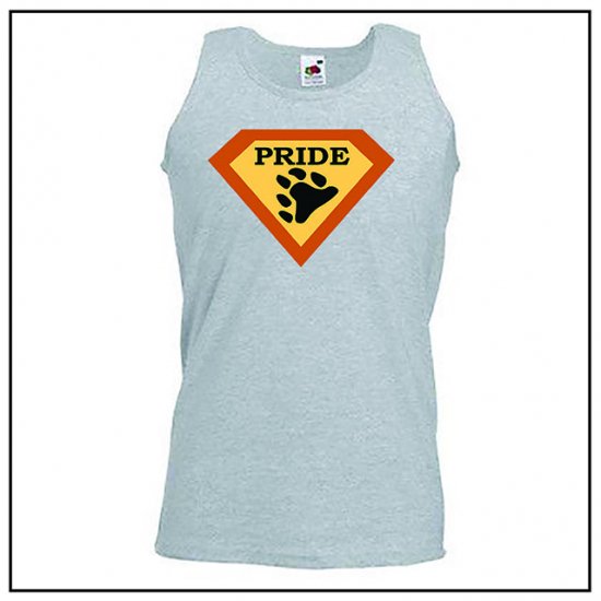 Pride Bear Vest - Click Image to Close