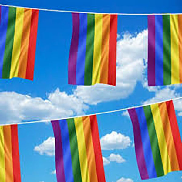 (image for) Rainbow Bunting