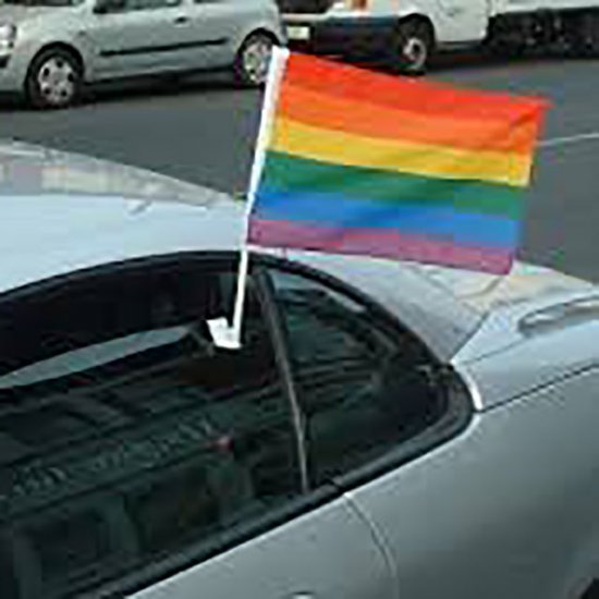 Rainbow Car Flag