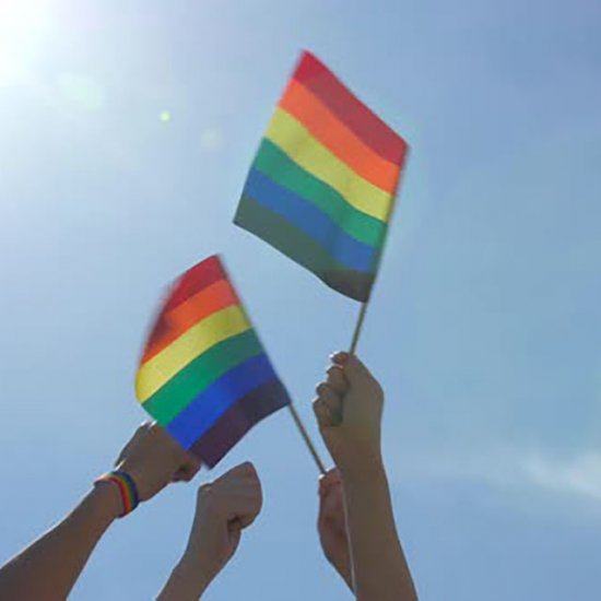Rainbow Hand Flags - Click Image to Close