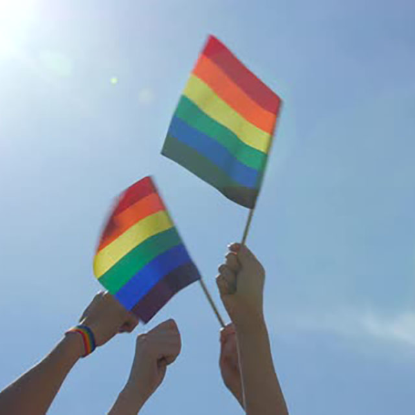 (image for) Rainbow Hand Flags