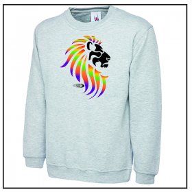 Pride Rainbow Sweat Shirt