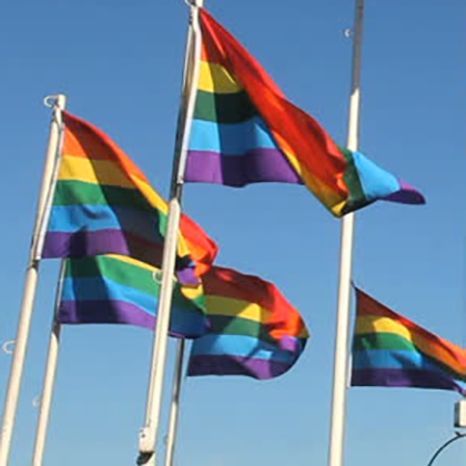 (image for) Pride Rainbow Flags