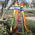 (image for) Rainbow Windsock