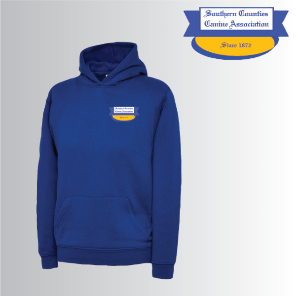 (image for) DC Child Classic Hoody (UC503)