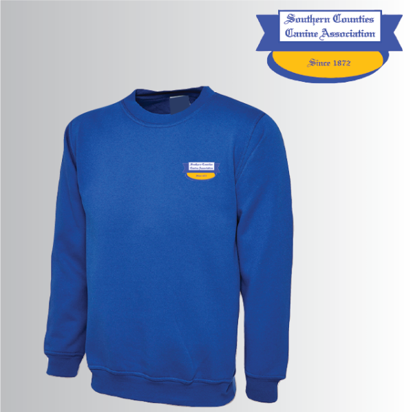 (image for) DC Child Classic Sweat Shirt (UC202)