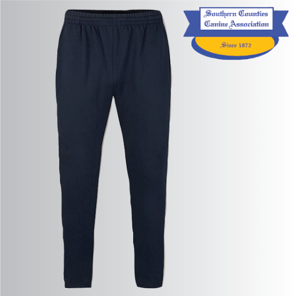 (image for) DC Adult Jogging Bottoms (UC522)