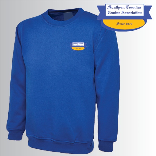 (image for) DC Unisex Classic Sweat Shirt (UC203)